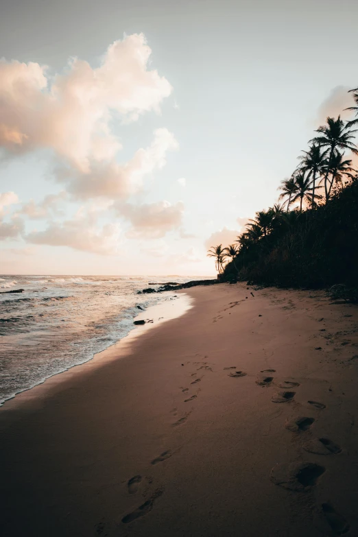 a beach scene with tracks in the sand and water