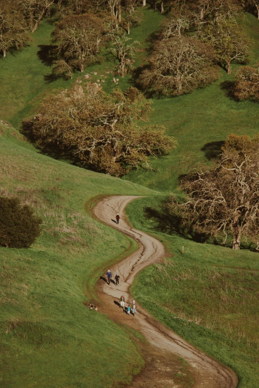 an aerial view of four horse - drawn carts riding up a dirt path