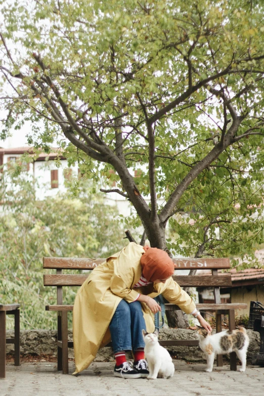 a woman and two cats sitting on a bench