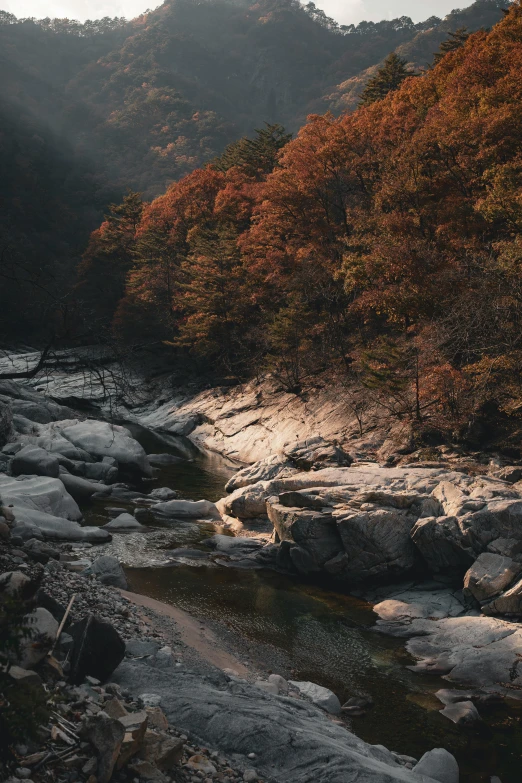 the sun shines on a rocky mountain stream