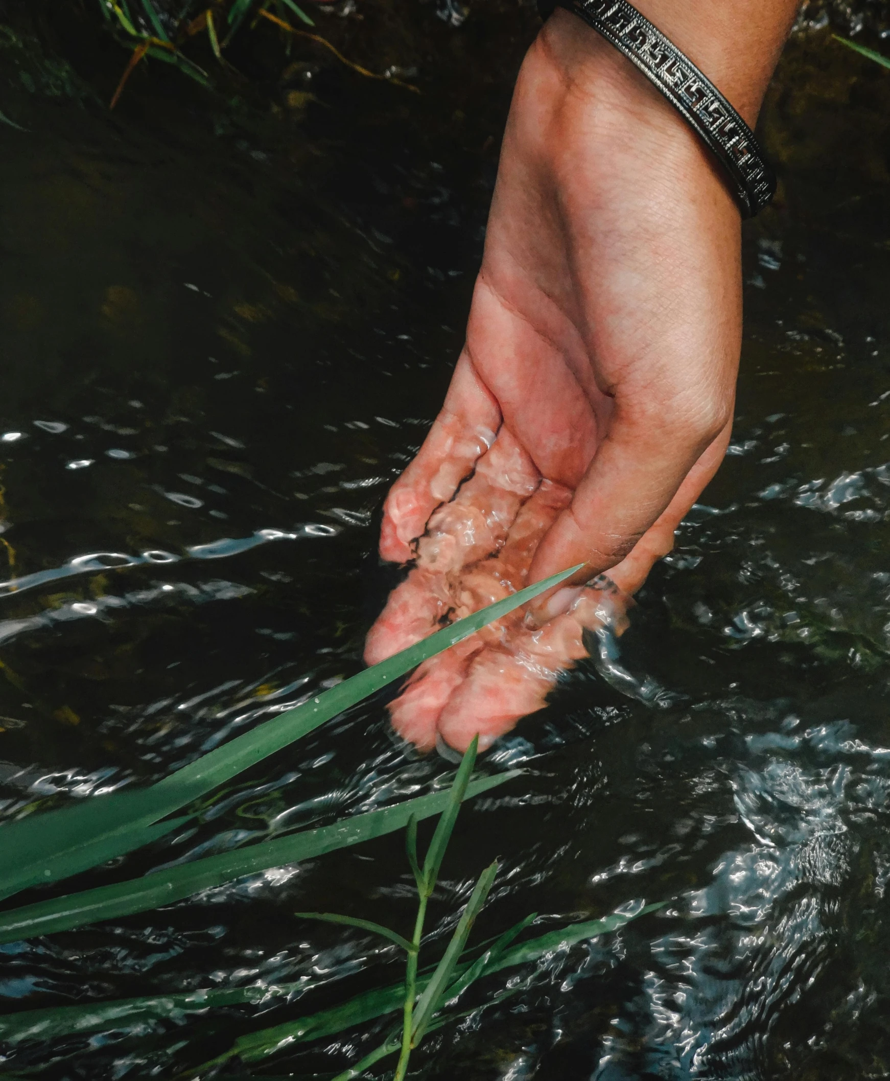 the person is holding their hand in the water