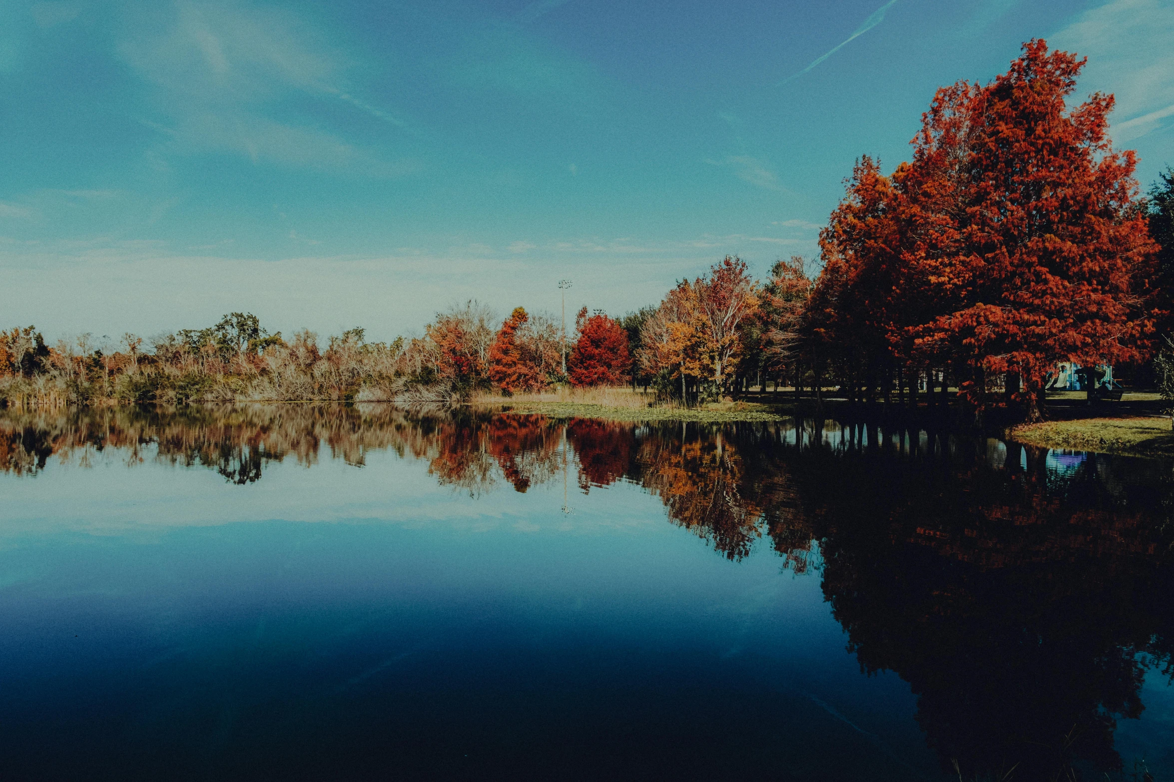 a still lake surrounded by trees with lots of leaves