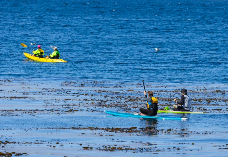 some people in kayaks and one is using a paddle