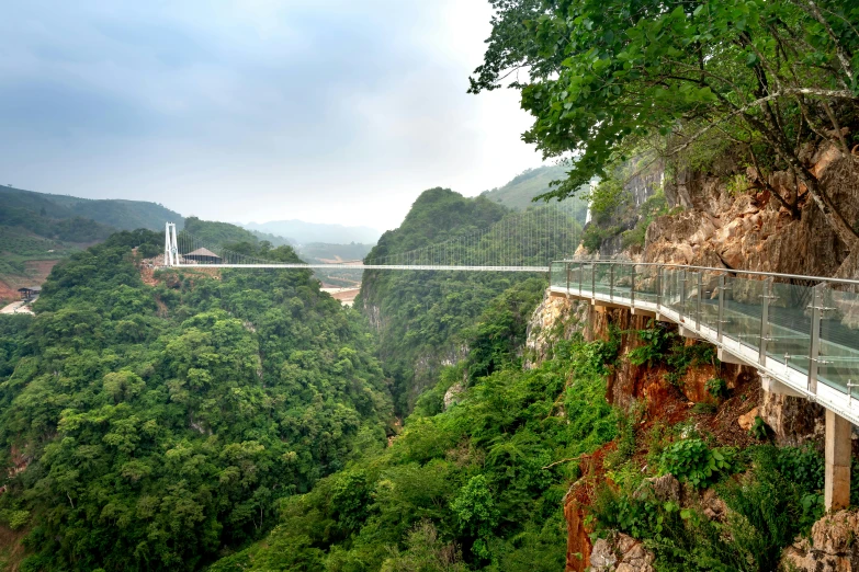 the view of the glass walkways on top of a hill in malaysia