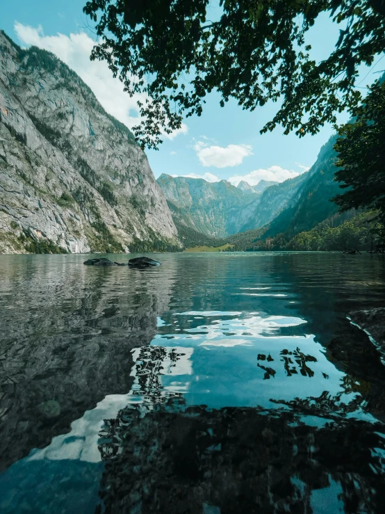 trees near the water with mountains in background