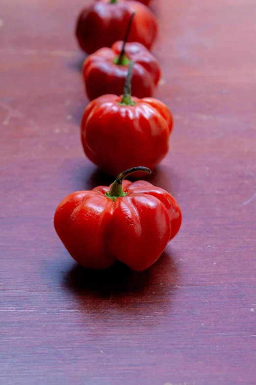 a long row of shiny red tomatoes on a wooden counter