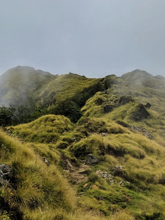 a hillside with a grass mountain is covered in fog