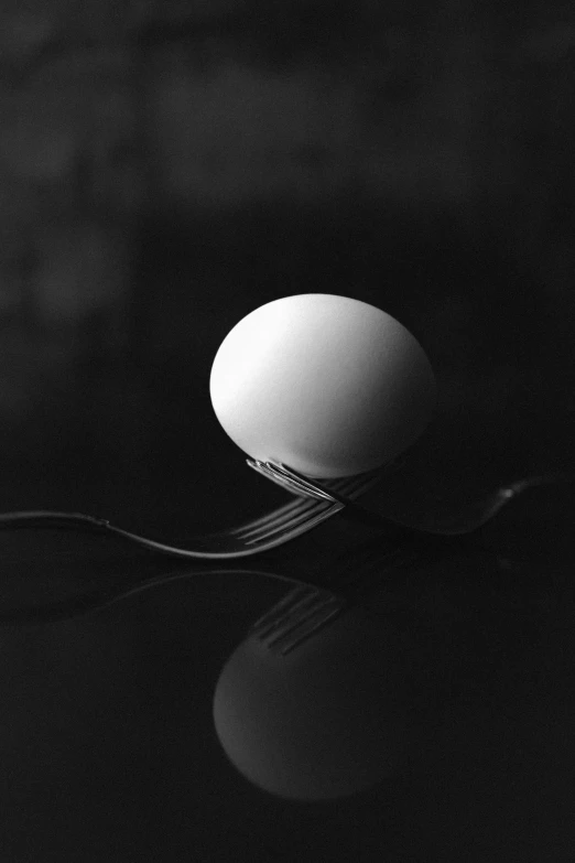 a black and white image of an egg and fork
