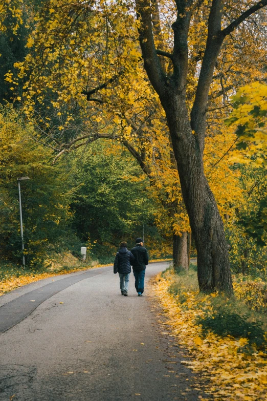 two people are walking down a road near some trees