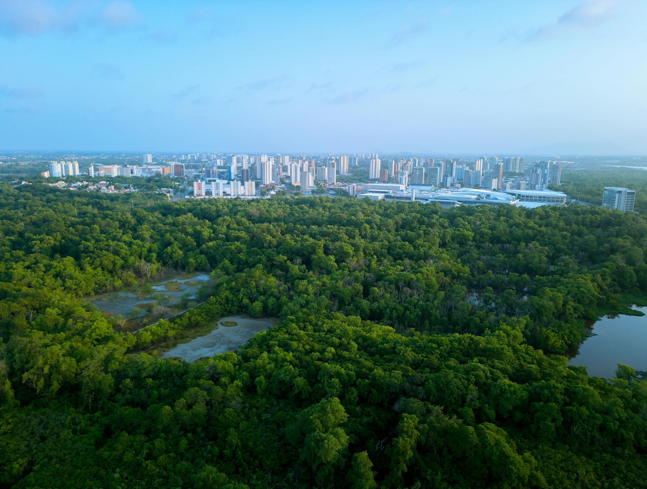 an aerial view of a city park, trees and a river