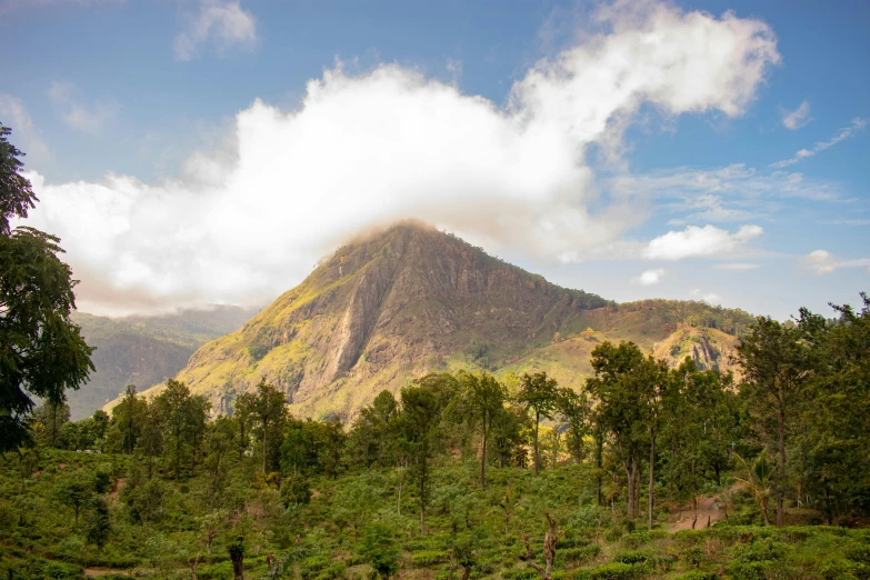 a mountain sitting on top of a lush green hillside