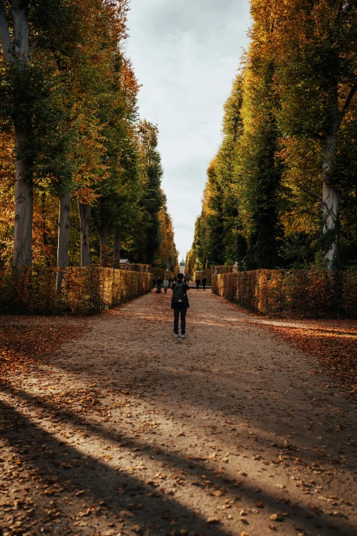 two people walking down a path surrounded by leaves