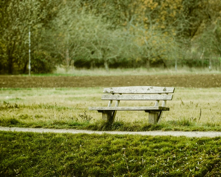 a bench sitting in the grass in the middle of a park