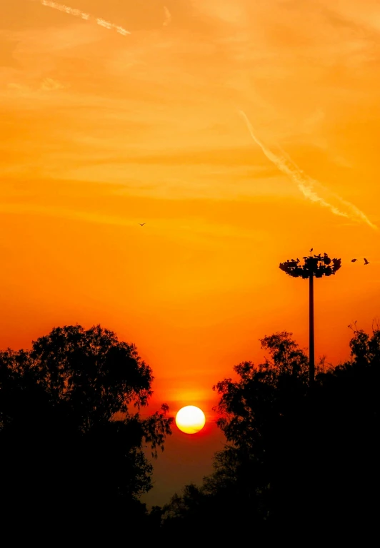 the sun is rising behind a couple trees