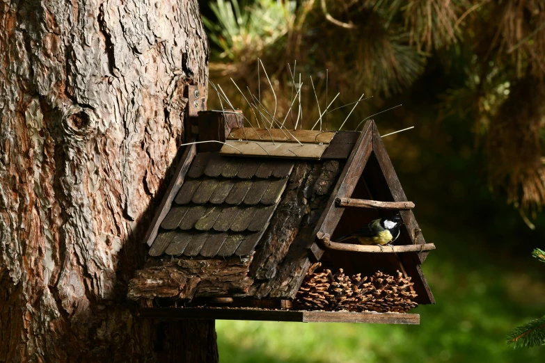 a birdhouse with birds in it near some trees