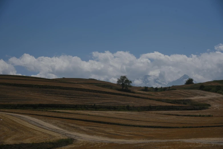 an image of grass field with some clouds above