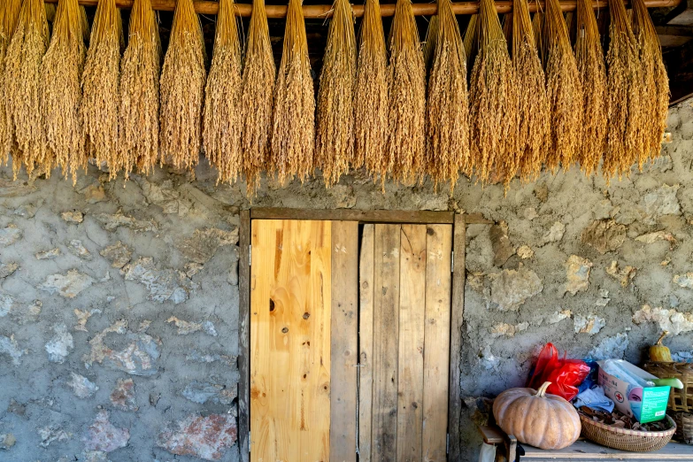 the door of a hut is set outside by dry plants