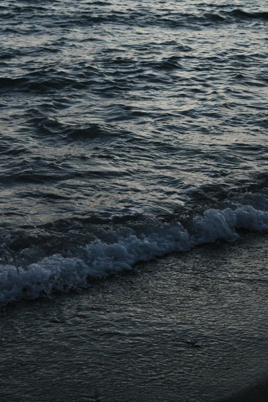 a body of water with a bird walking on the beach