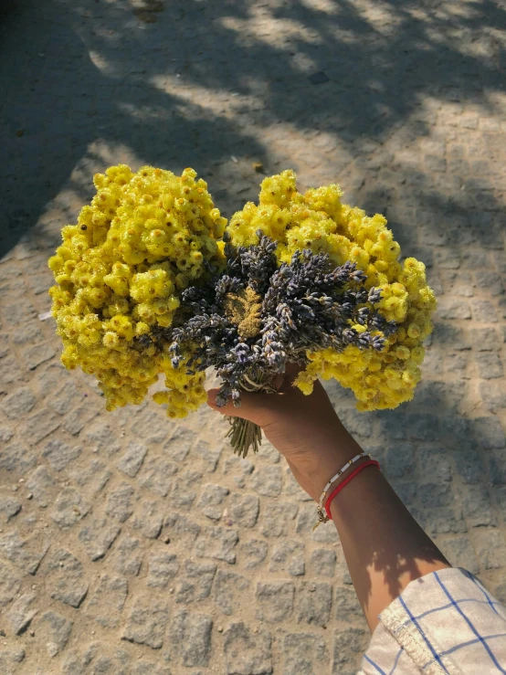 a person holds onto some flowers in their hand