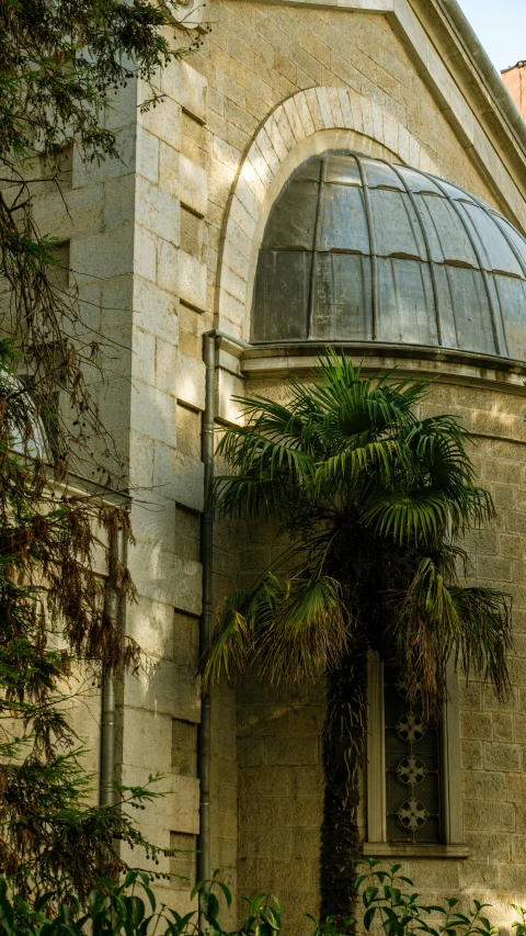 an old building has plants and trees in front