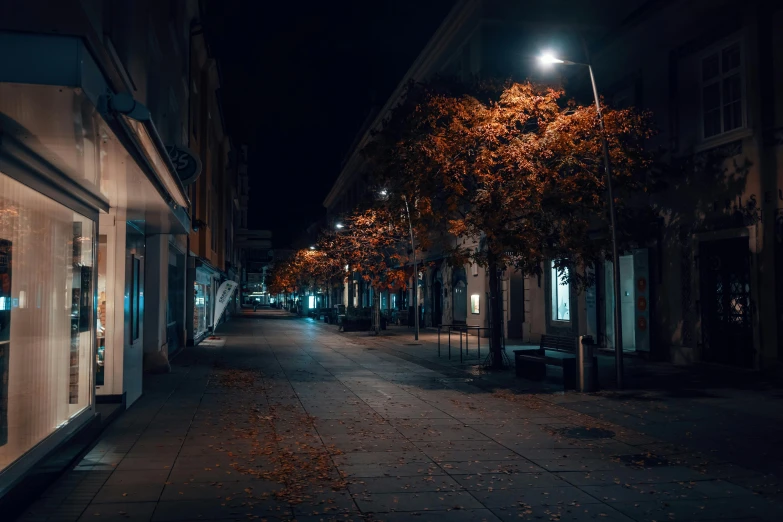 a street at night with lots of trees on the side