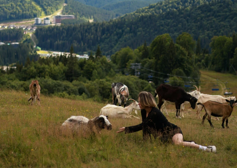 an adult and child sit with cows and goats in a field