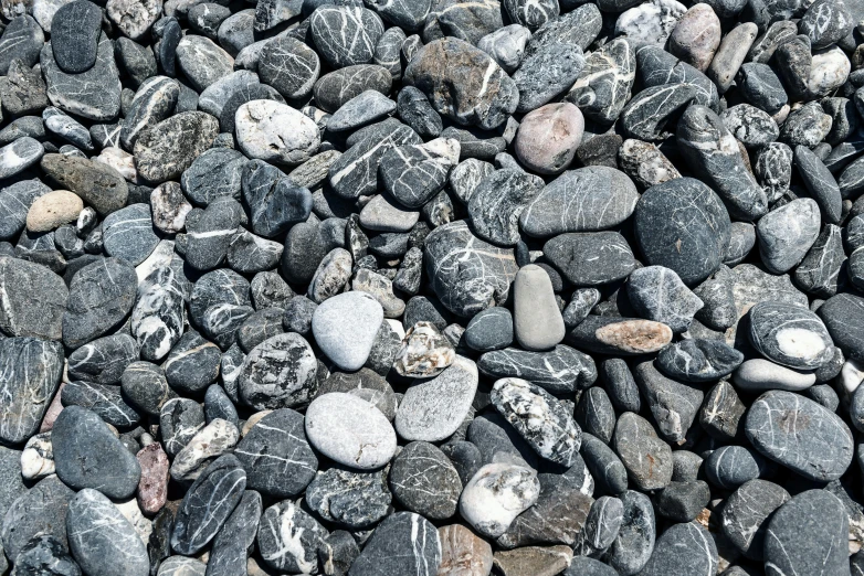 rocks on the beach in black and white