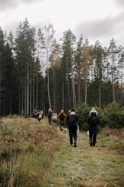 some people are walking in a field with a few trees