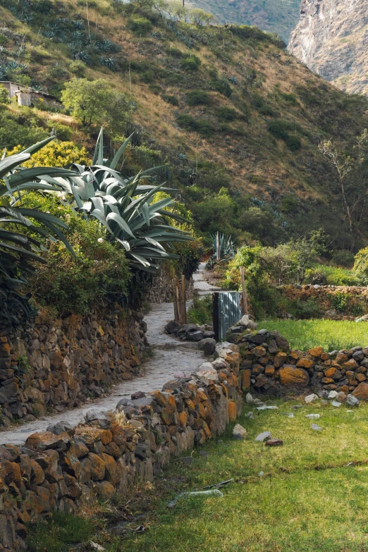 a paved pathway leads to a hill in the distance