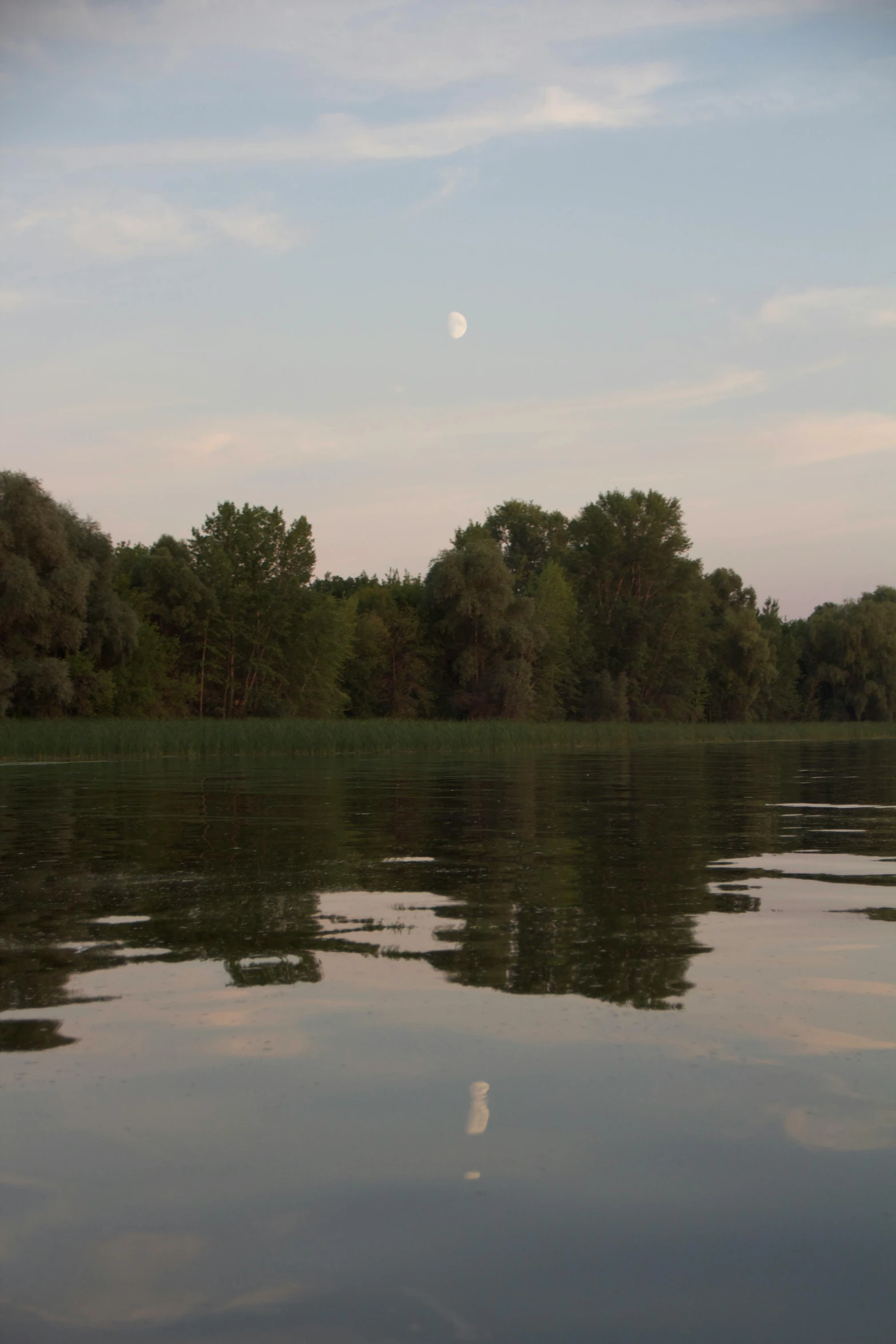 the water and trees are reflecting the moon