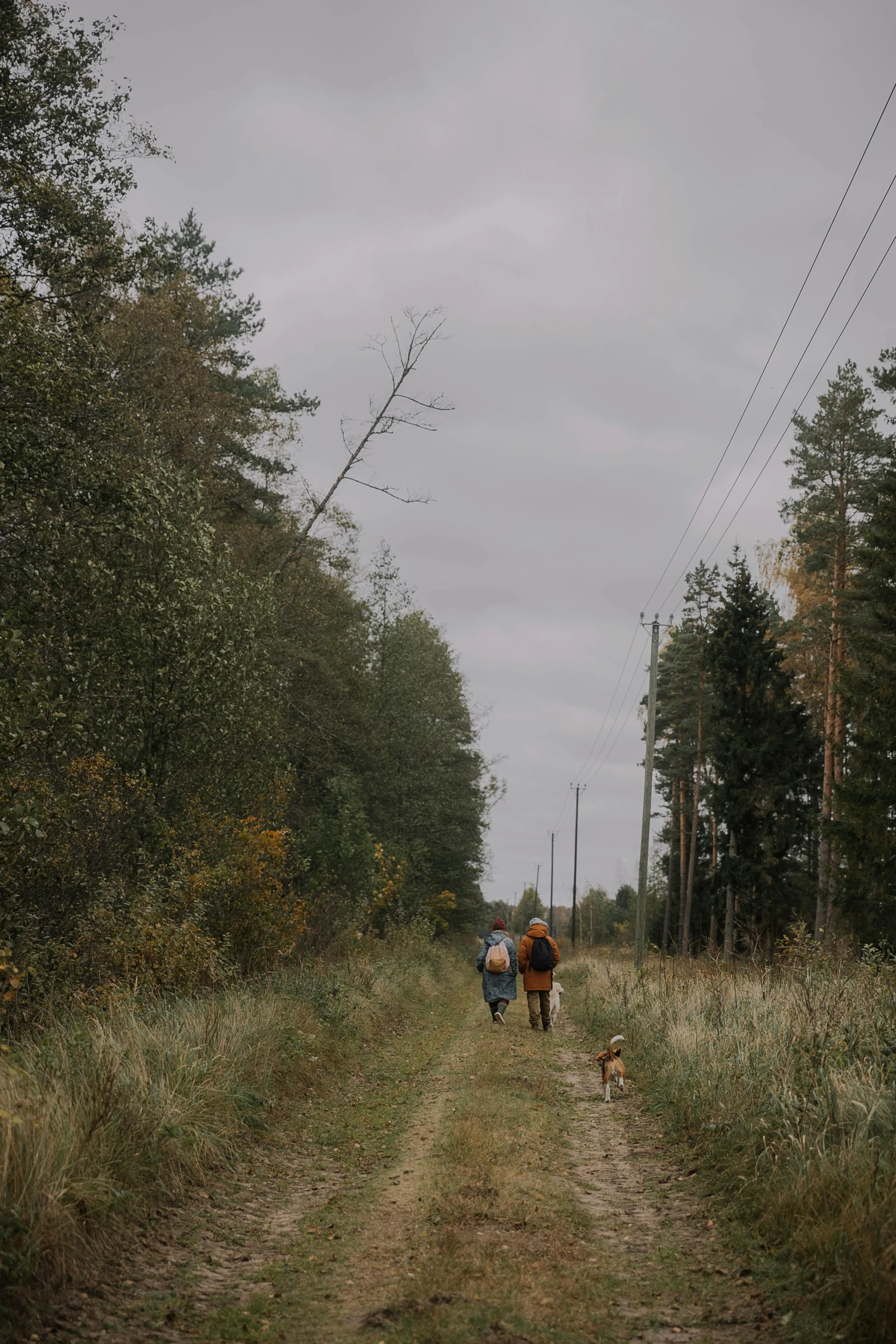 two people are walking their dogs on a dirt road