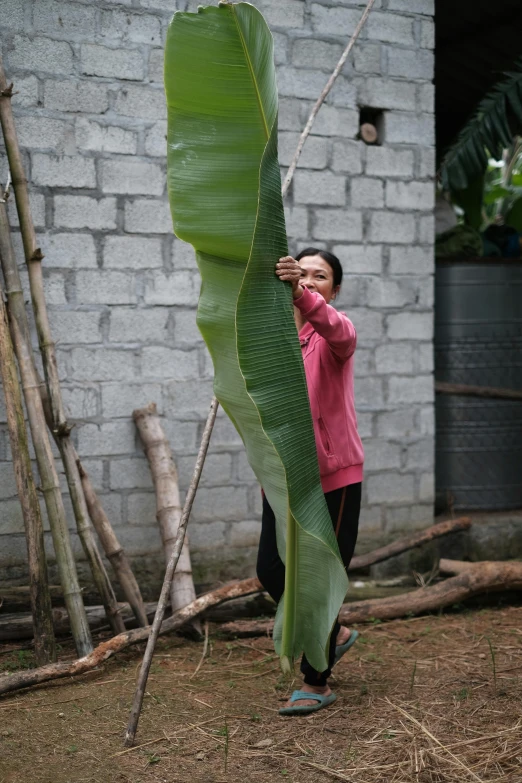 a woman is standing next to a banana plant