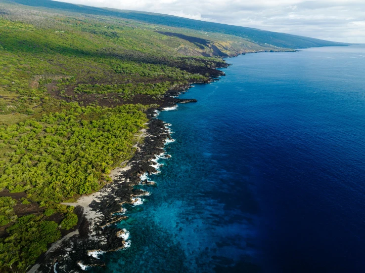 a wide sea of green land stretches off into the distance