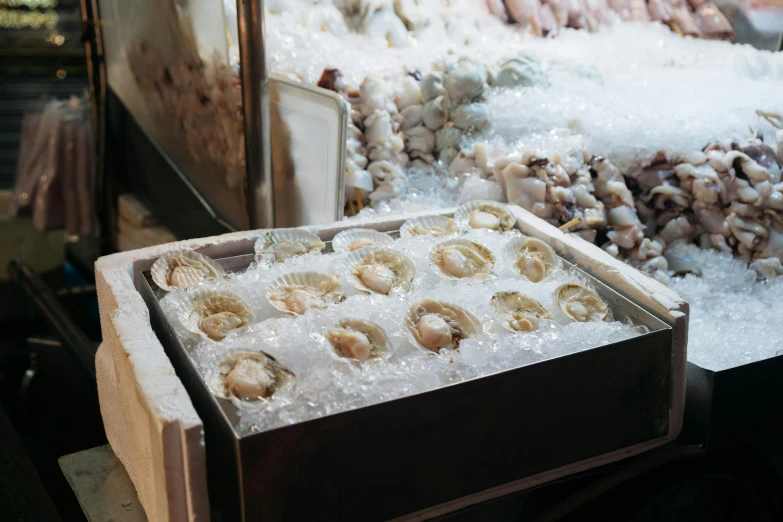 boxes of doughnuts with ice in them on display