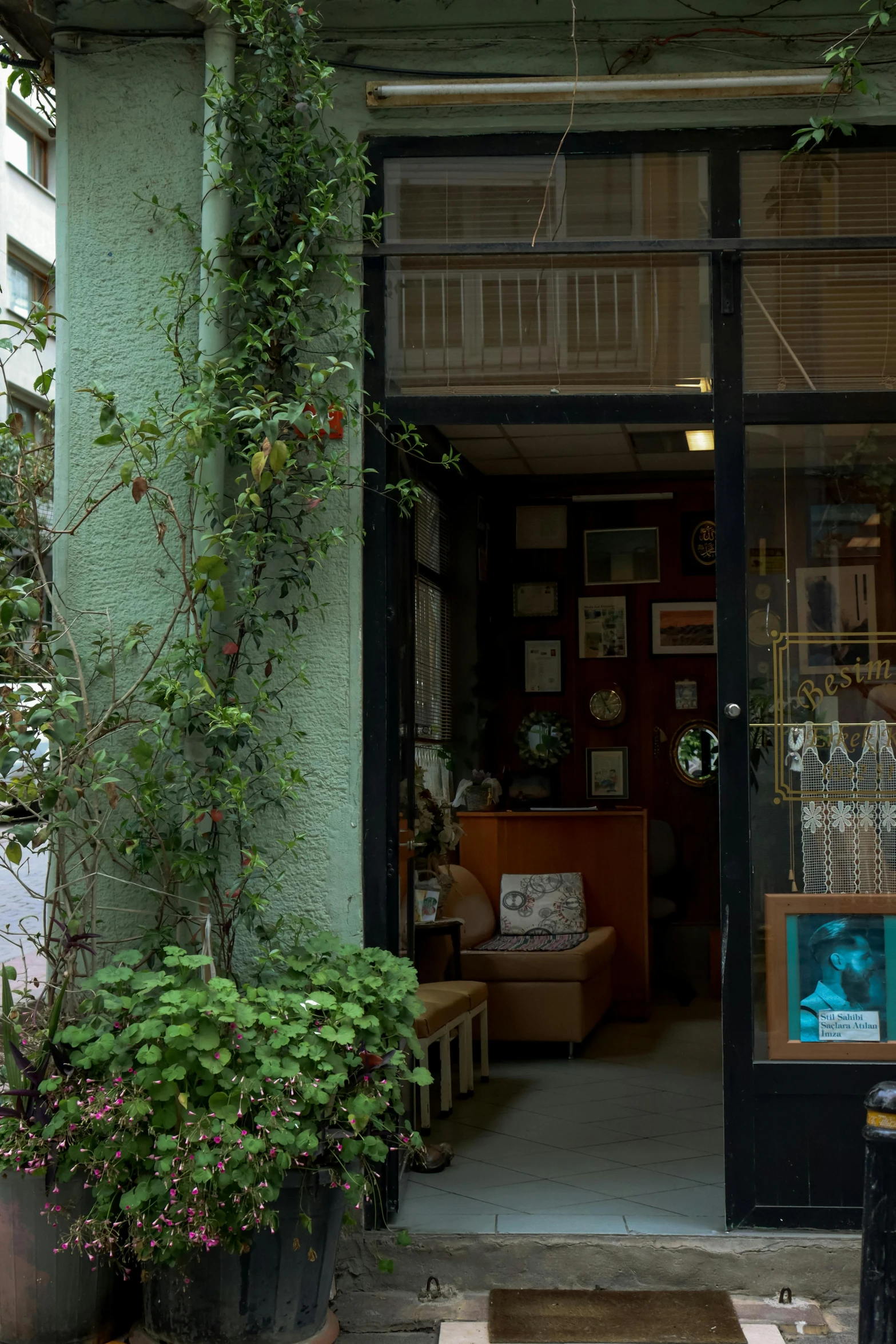 an exterior view of a green store with potted plants