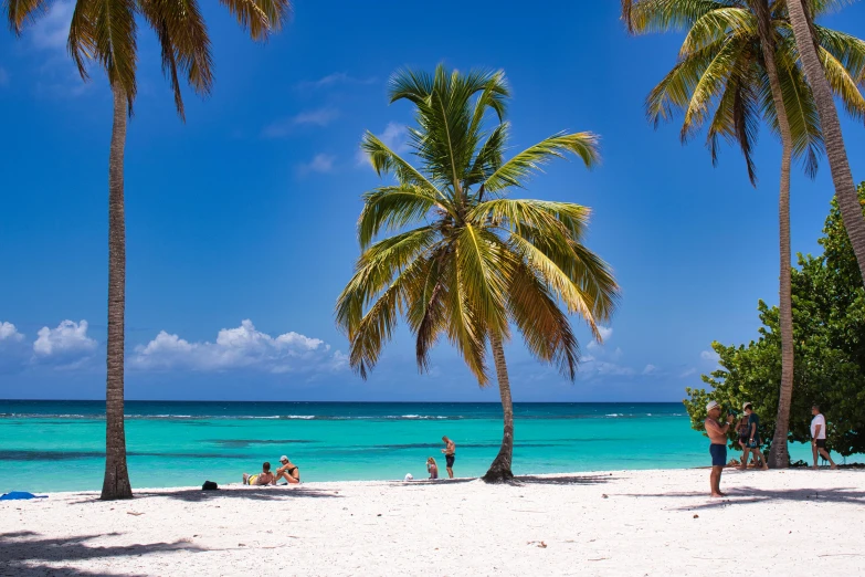 people are standing in the sand near palm trees