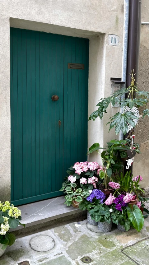 potted plants next to a green door on the steps