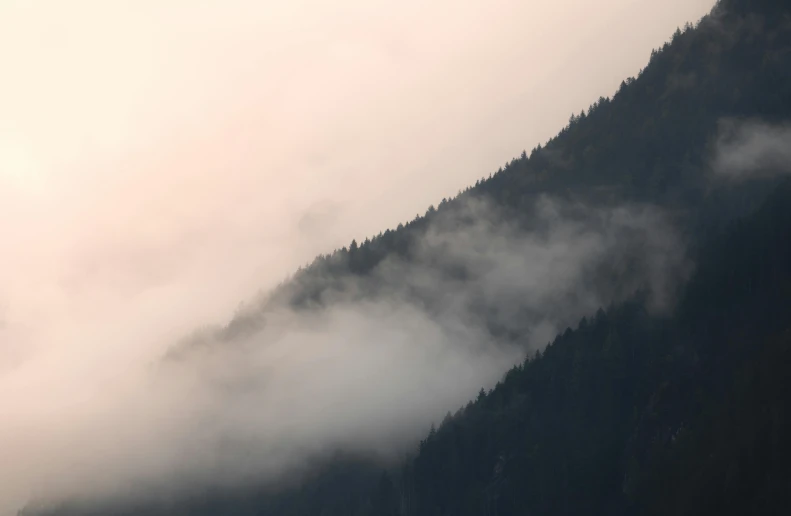 mist covers the tops of a large, evergreen covered mountain