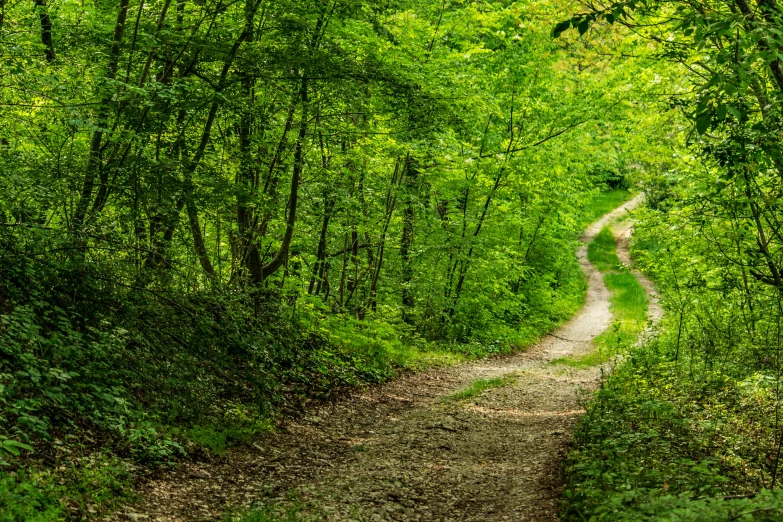 the path is empty except for this sign