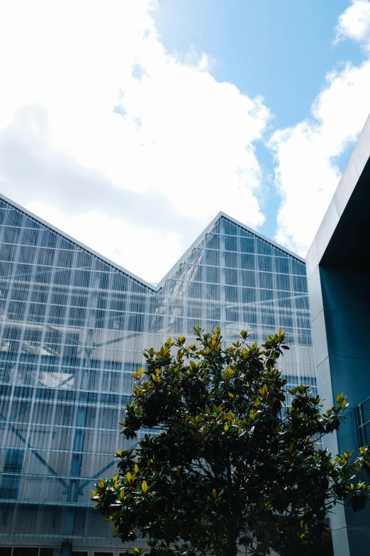 the view from under an office building through trees