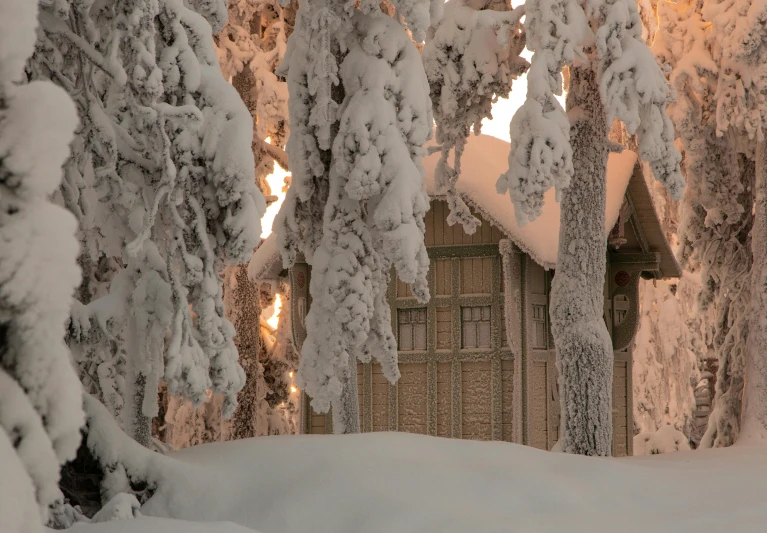 an image of a snow covered winter scene