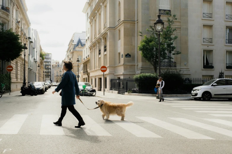 a woman walking a dog across the street