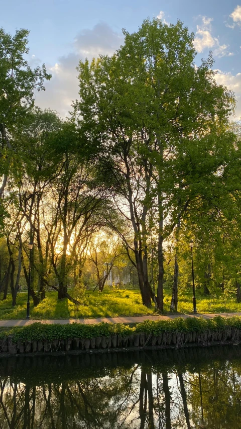 a river that is surrounded by trees and grass