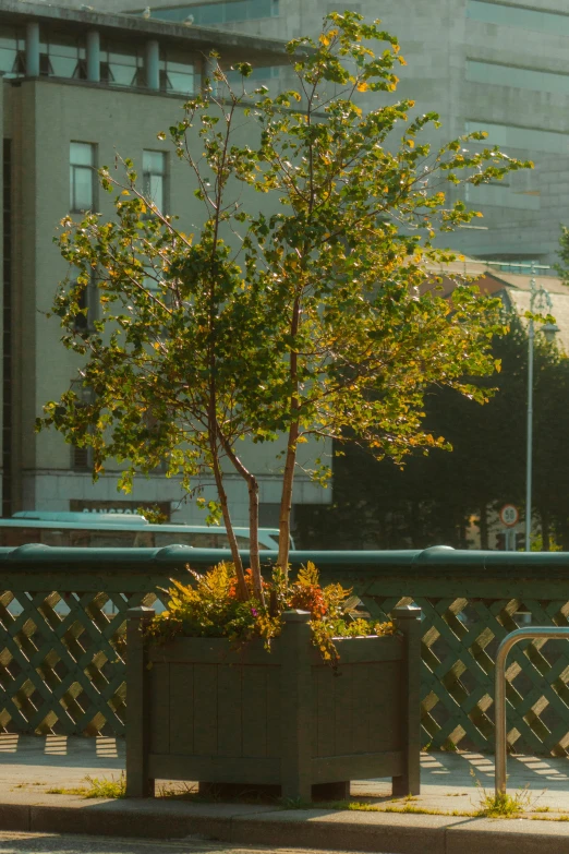 a green plant sitting in a brown pot on top of a bench