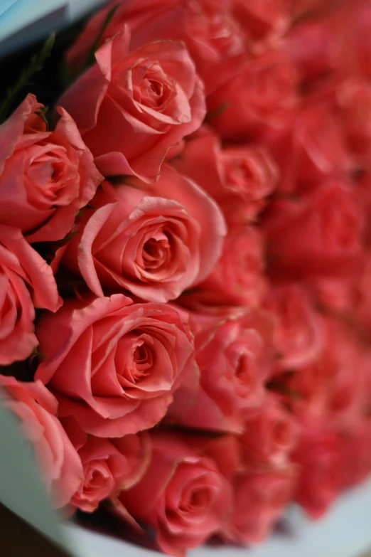 a bouquet of roses with long stems is in the vase