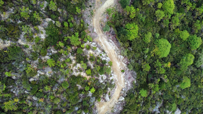 an overhead view of a path in the middle of a forest