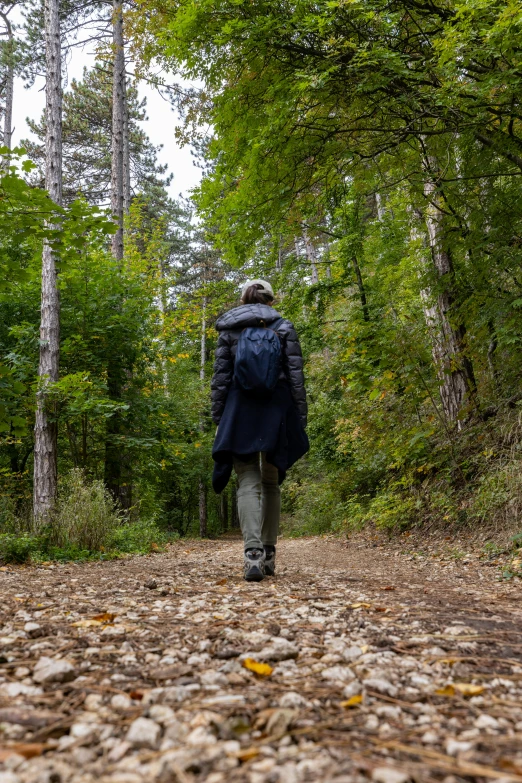 a person with a backpack walking down a trail through the woods