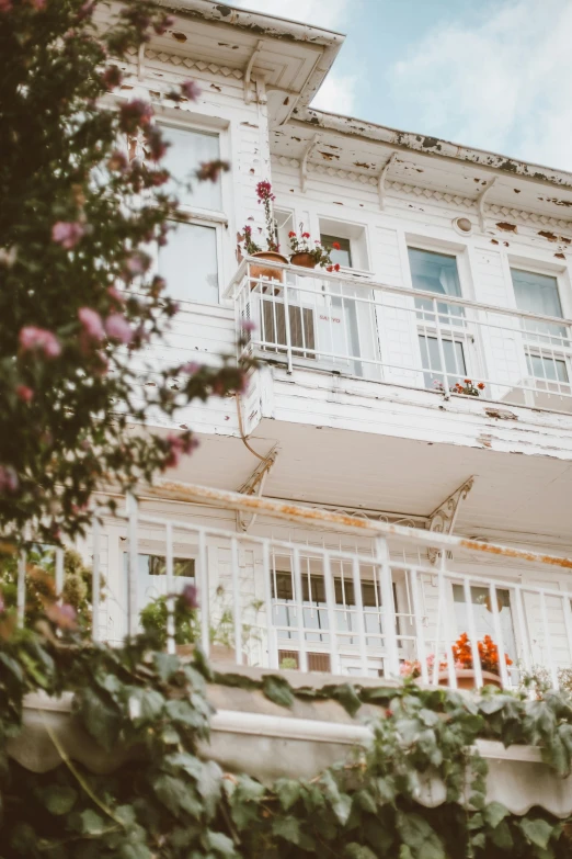 the balcony of a white house is covered with ivy