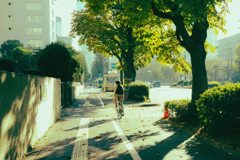 a person is riding a bike on a bike path