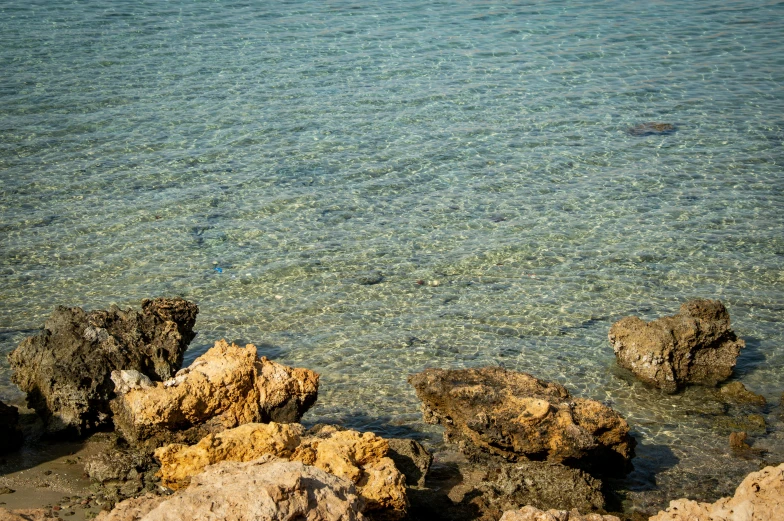 a body of water surrounded by rocks and plants